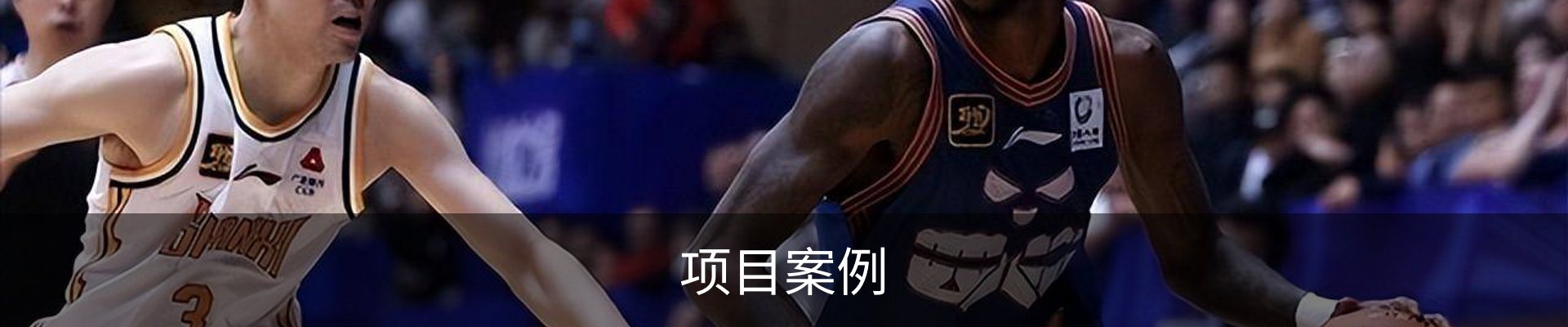 项目案例